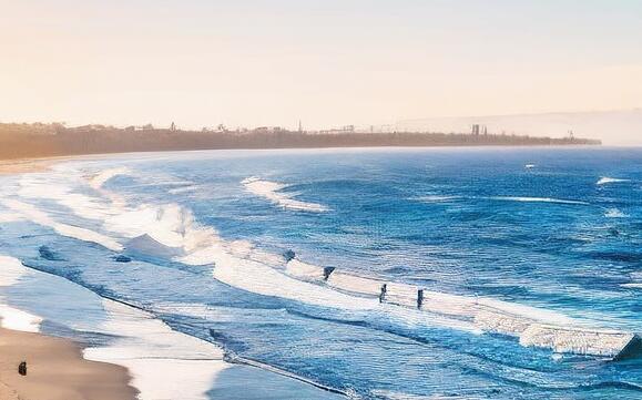 中国留学生哪里多(中国留学生多)