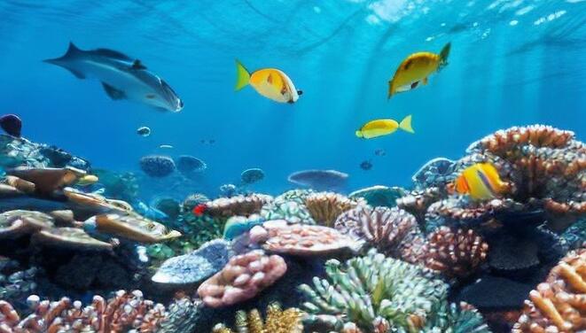 到哪里可以学烤面筋(哪里学烤面筋)