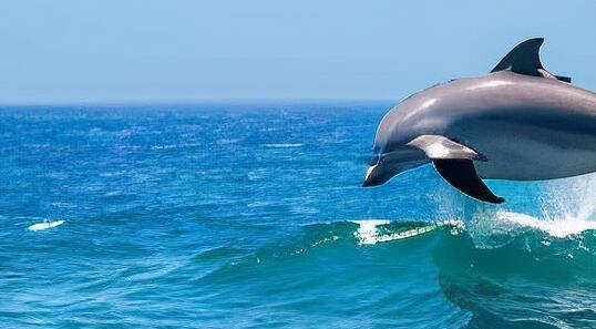 上海国家健康管理师报考时间(上海健康管理师报考时间)