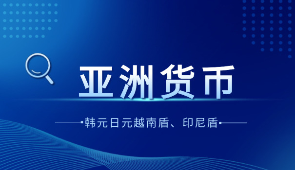 越南币p是什么意思(越南币p意思)