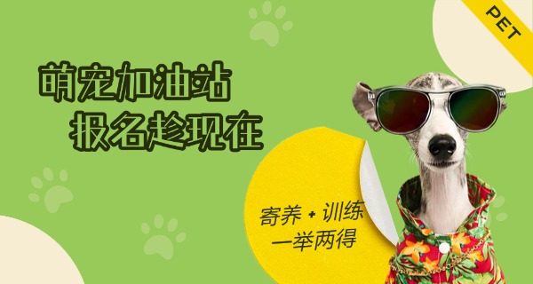 湘 西宠物学校招生电话