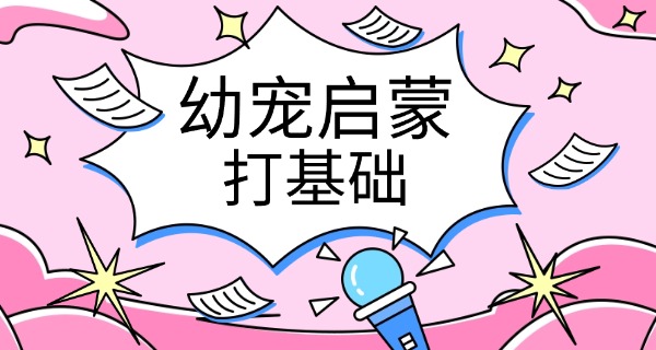 上海技校宠物训犬师培训费用-上海宠物训犬师培训费