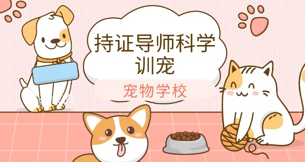 天津宠物学校技校招生简章电话-天津宠物学校招生电话