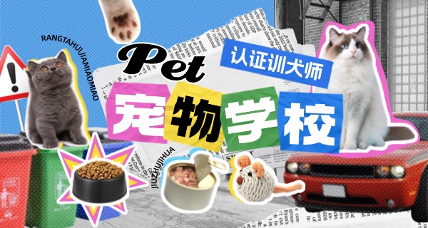 濮阳宠物狗学校有没有-濮阳宠物狗学校有