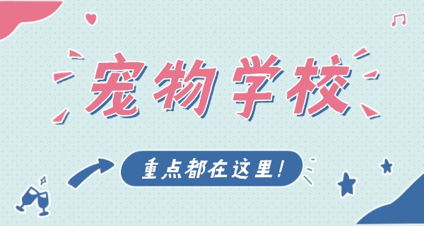 枣庄宠物培训机构哪里找-枣庄宠物培训机构在哪里