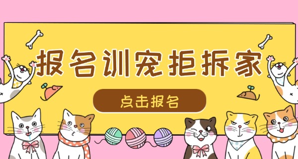 松原宠物学校一般学费多少-松原宠物学校学费多少