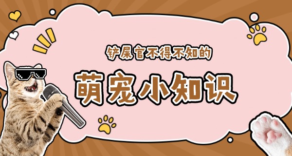 巴 中哪里学宠物美容学校