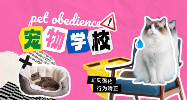 武汉宠物医疗培训学校-武汉宠物医疗学校