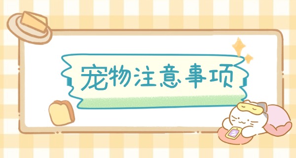 鸡西宠物培训班-鸡西宠物培训班