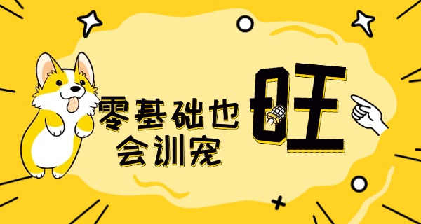 安徽省宠物医学中专推荐-安徽宠物中专推荐