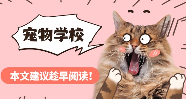 苏 州宠物学校职高怎么样