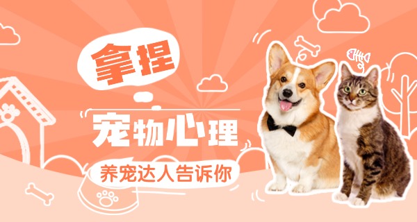 太原训犬师培训教程-太原训犬教程