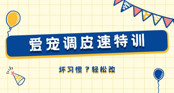 海南宠物学校招生电话-海南宠物学校招生电话
