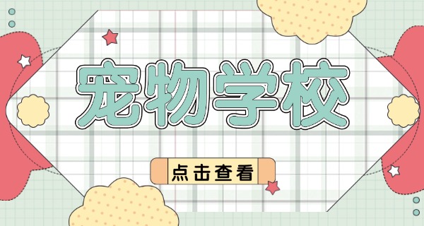 龙岩宠物学校培训价格表一览-龙岩宠物学校培训价格一览