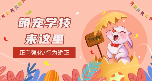 职 高的宠物医疗