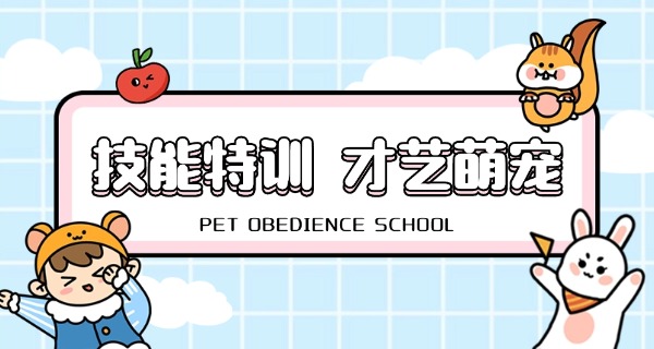 宠物美容技校培训技校怎么样-宠物美容技校好