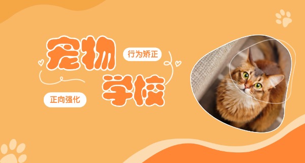 中国训犬师培训学校排名-中国训犬师培训学校排名