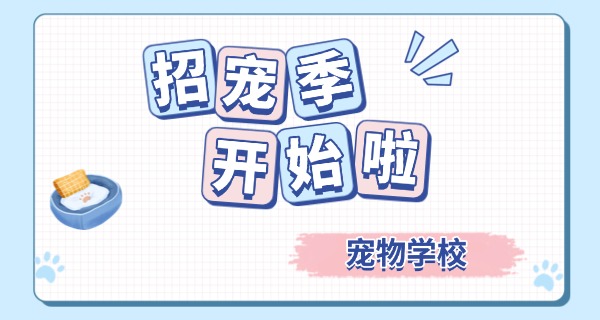 宠物美容训犬师培训学校基地地址-宠物美容训犬师基地地址