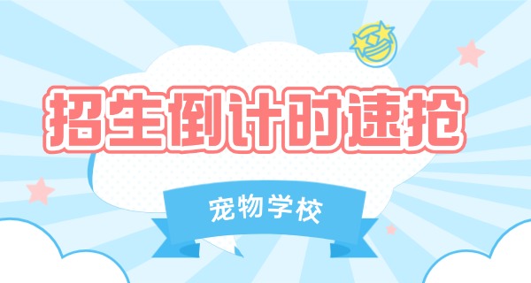 长 春训狗学校价格