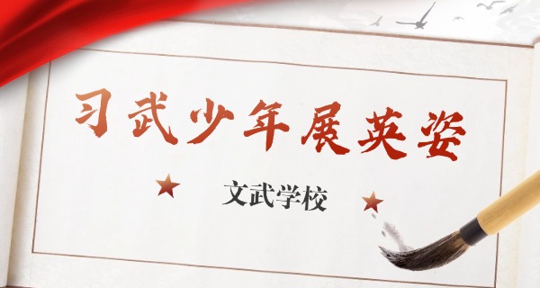 鹅 坡武术学校崔世琦事件