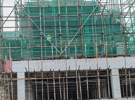 苏州标准员证书哪里可以查询到(苏州标准员证书查询处)