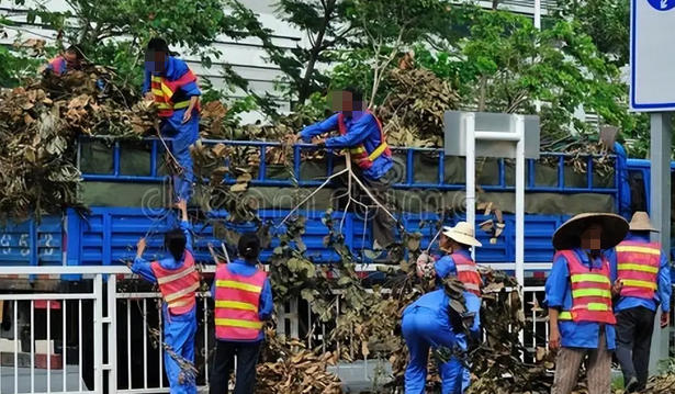 劳务员考证福州(劳务员证福州考)