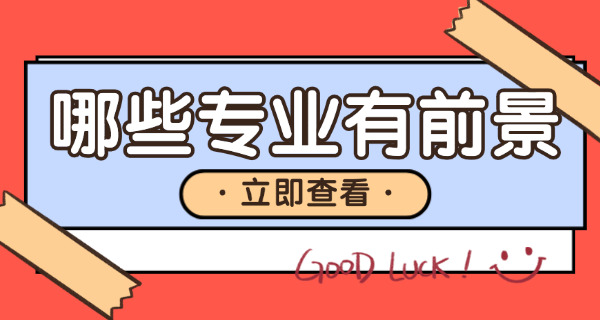 南 华大学mpacc就业前景