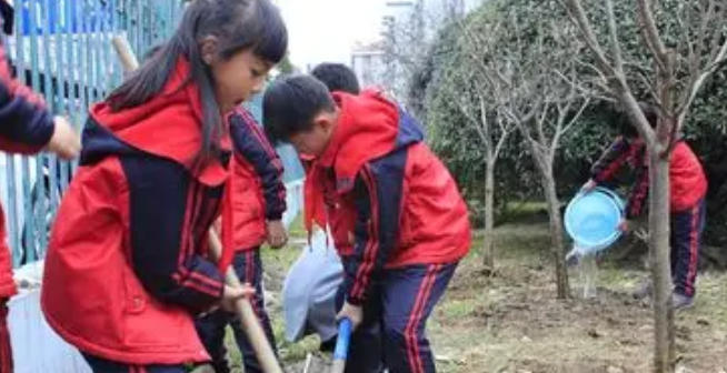 社会工作师考什么科目(社会工作师考科目)