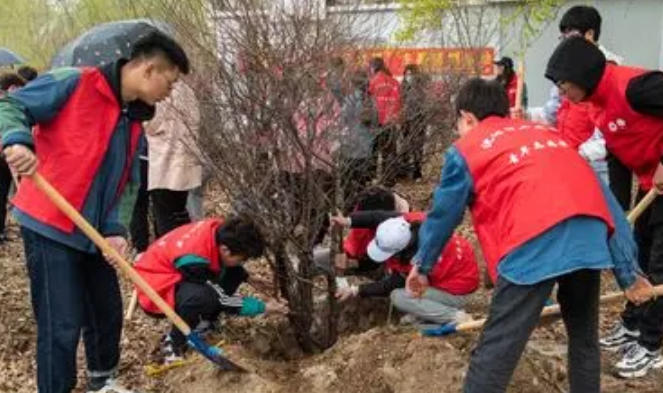 广 西社工师资格证考试时间