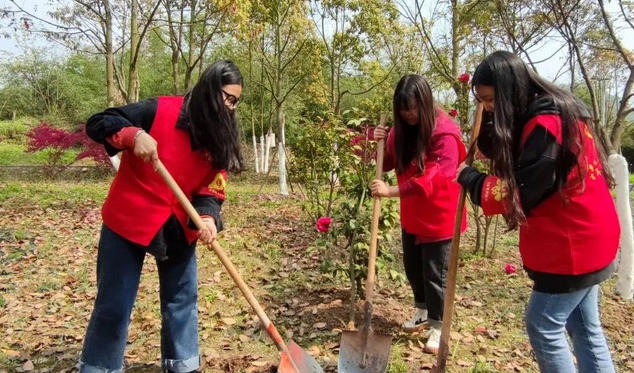 助理社会工作师是干嘛的有工资吗(助理社会工作师做社会工作，有工资。)