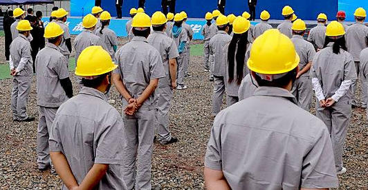 哈 尔滨机械员证书在哪查询