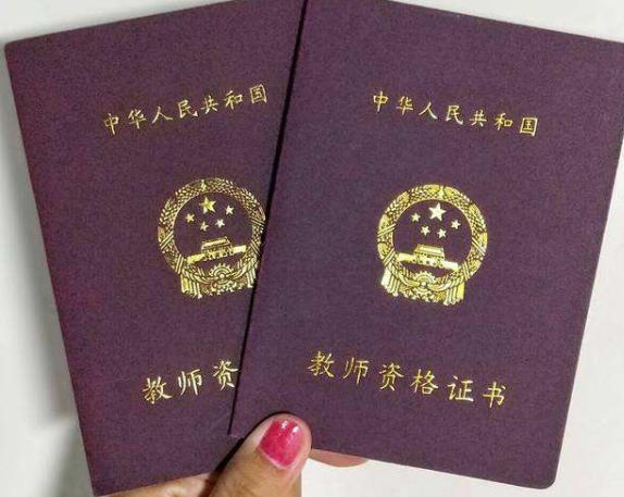 教资什么时候可以在网上查到(教资查结果时间)