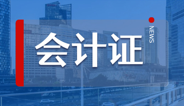 高级会计师提交论文在哪(高级会计师论文提交处)