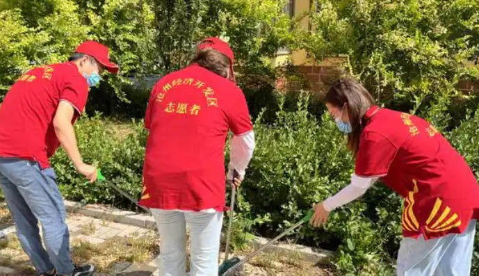 初 级社工证书编号查询