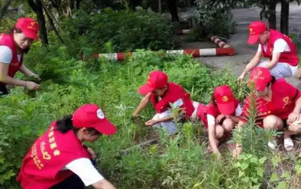 社工证考试模拟试题(社工证模拟题)